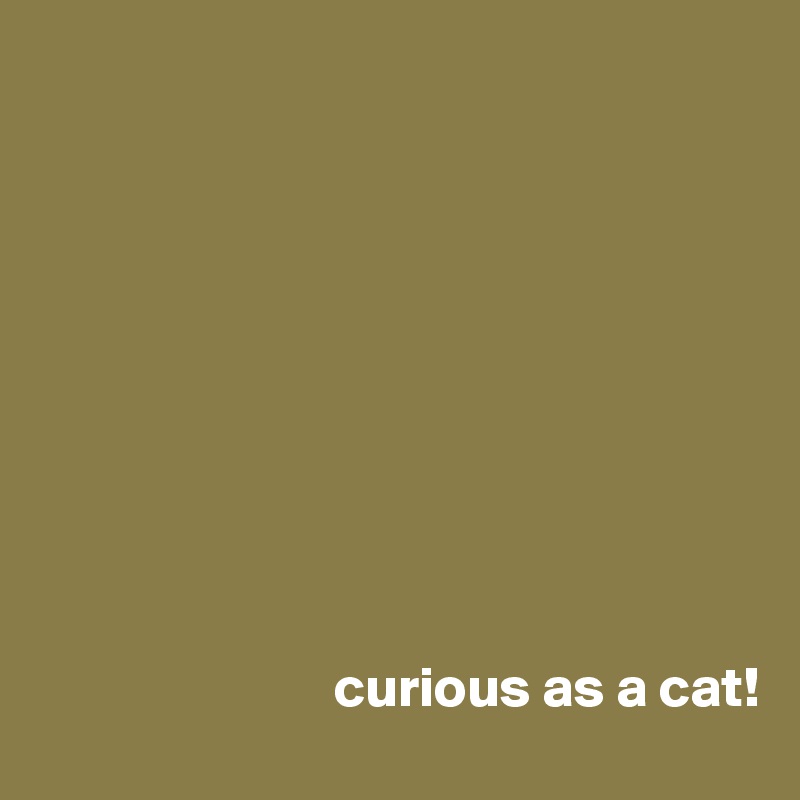 










                          curious as a cat!