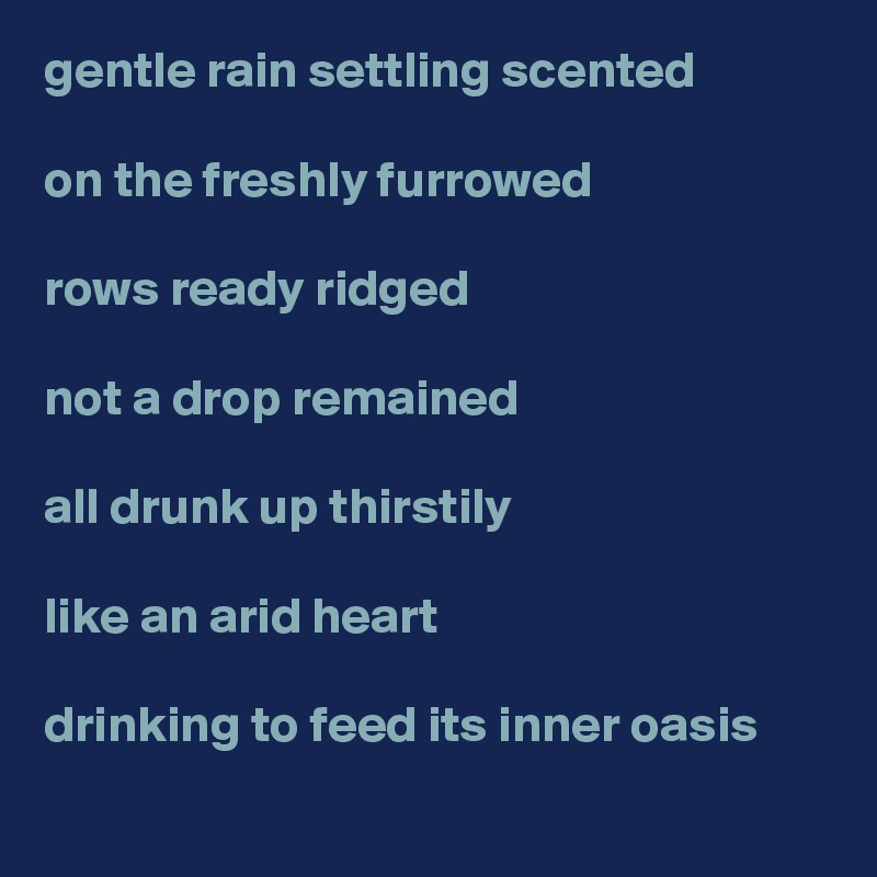 gentle rain settling scented

on the freshly furrowed

rows ready ridged 

not a drop remained 

all drunk up thirstily

like an arid heart 

drinking to feed its inner oasis      