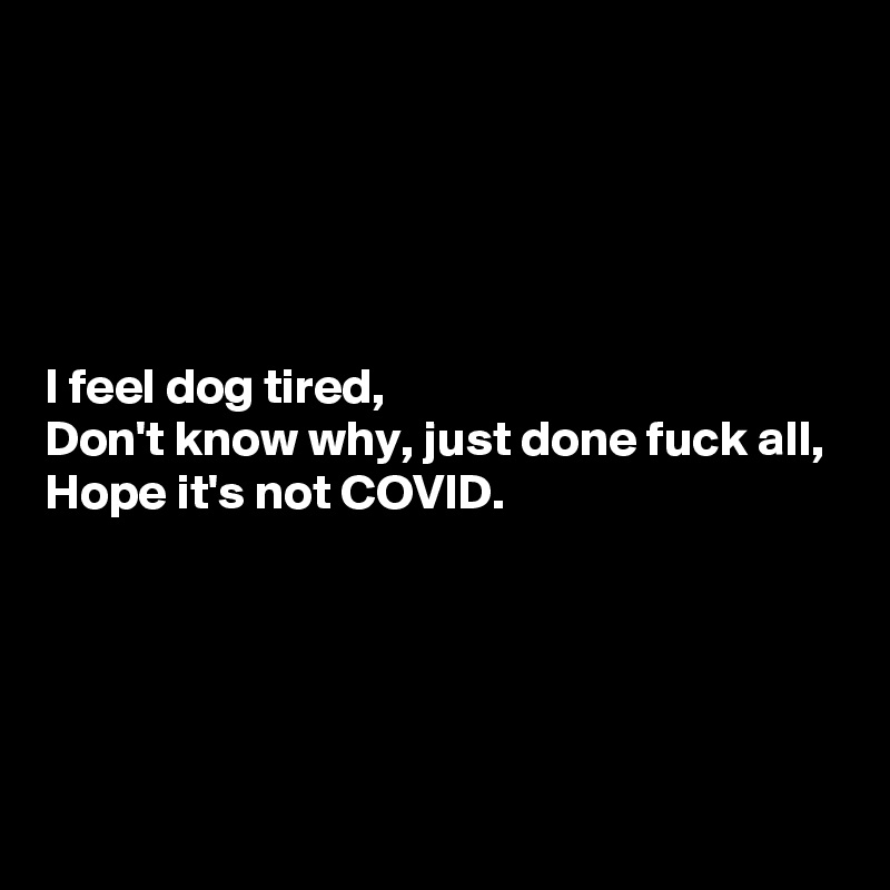 





I feel dog tired,
Don't know why, just done fuck all,
Hope it's not COVID.




