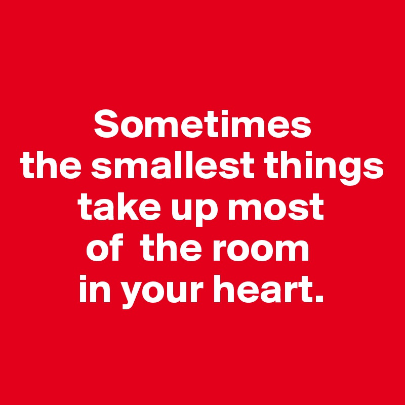 Sometimes the smallest things take up most of the room in your heart ...