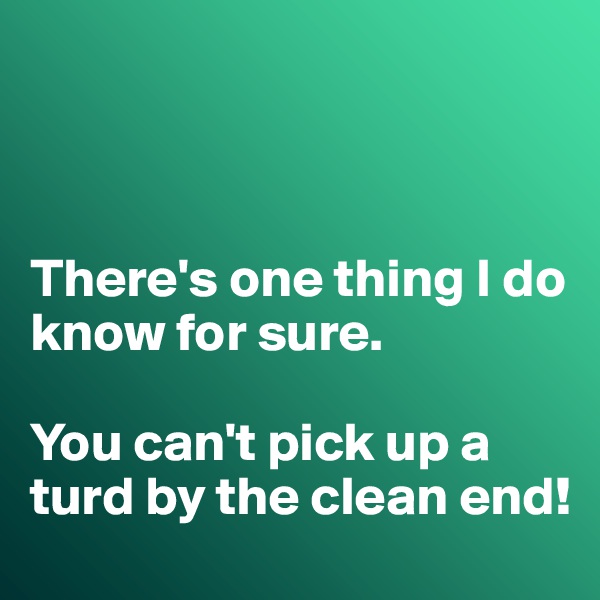 



There's one thing I do know for sure. 

You can't pick up a turd by the clean end!