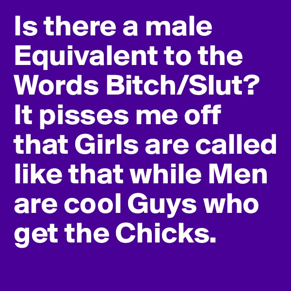 Is there a male Equivalent to the Words Bitch/Slut? It pisses me off that Girls are called like that while Men are cool Guys who get the Chicks.