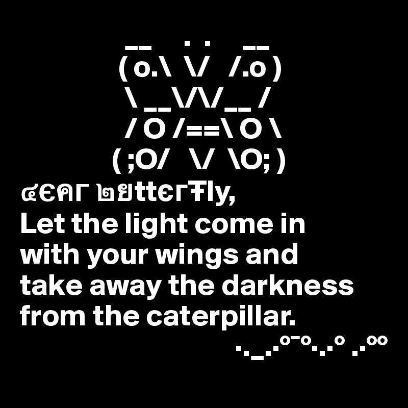                  __     .  .     __
                ( o.\  \/   /.o )
                 \ __\/\/__ /
                 / O /==\ O \
               ( ;O/   \/  \O; )          
???? ??tt??Tly,
Let the light come in 
with your wings and
take away the darkness from the caterpillar.                                                
                                   ·._.·°¯°·.·° .·°°