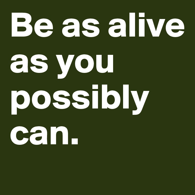 Be as alive as you possibly can.