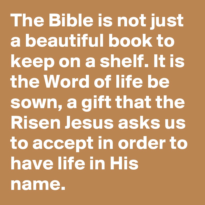 The Bible is not just a beautiful book to keep on a shelf. It is the Word of life be sown, a gift that the Risen Jesus asks us to accept in order to have life in His name.