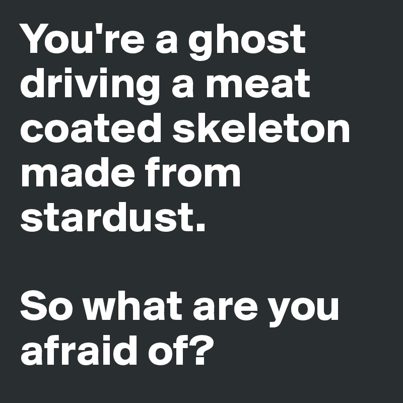 You're a ghost driving a meat coated skeleton made from stardust. 

So what are you afraid of?