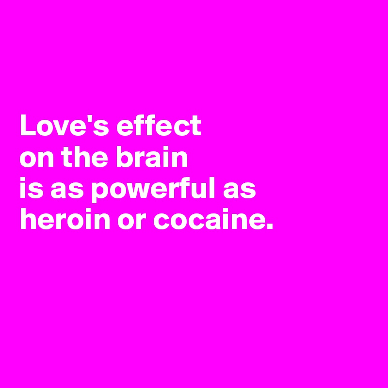 


Love's effect 
on the brain 
is as powerful as 
heroin or cocaine. 



