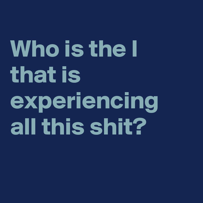 
Who is the I that is experiencing all this shit?

