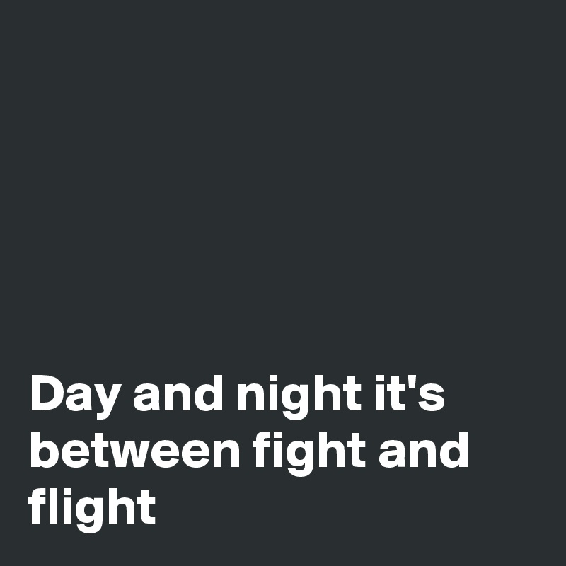 





Day and night it's 
between fight and 
flight