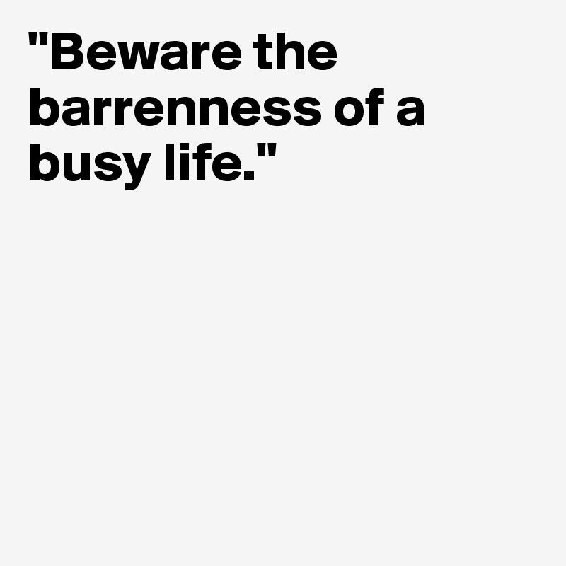 "Beware the barrenness of a busy life."





