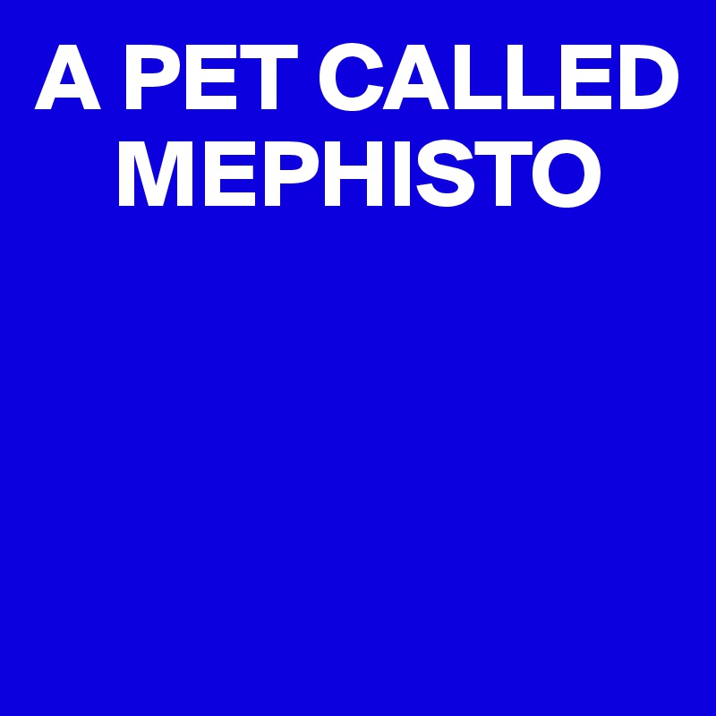 A PET CALLED                     
    MEPHISTO



