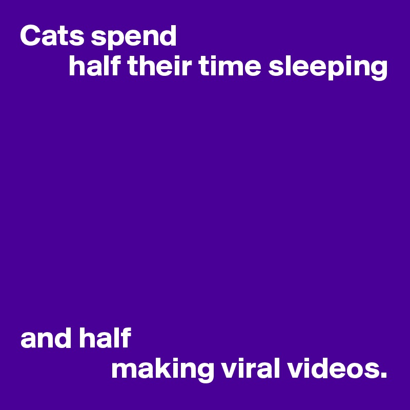 Cats spend 
        half their time sleeping








and half 
               making viral videos.
