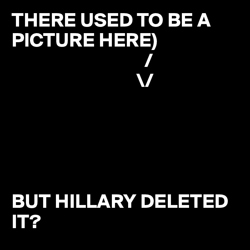 THERE USED TO BE A PICTURE HERE)
                                 /
                               \/





BUT HILLARY DELETED IT?