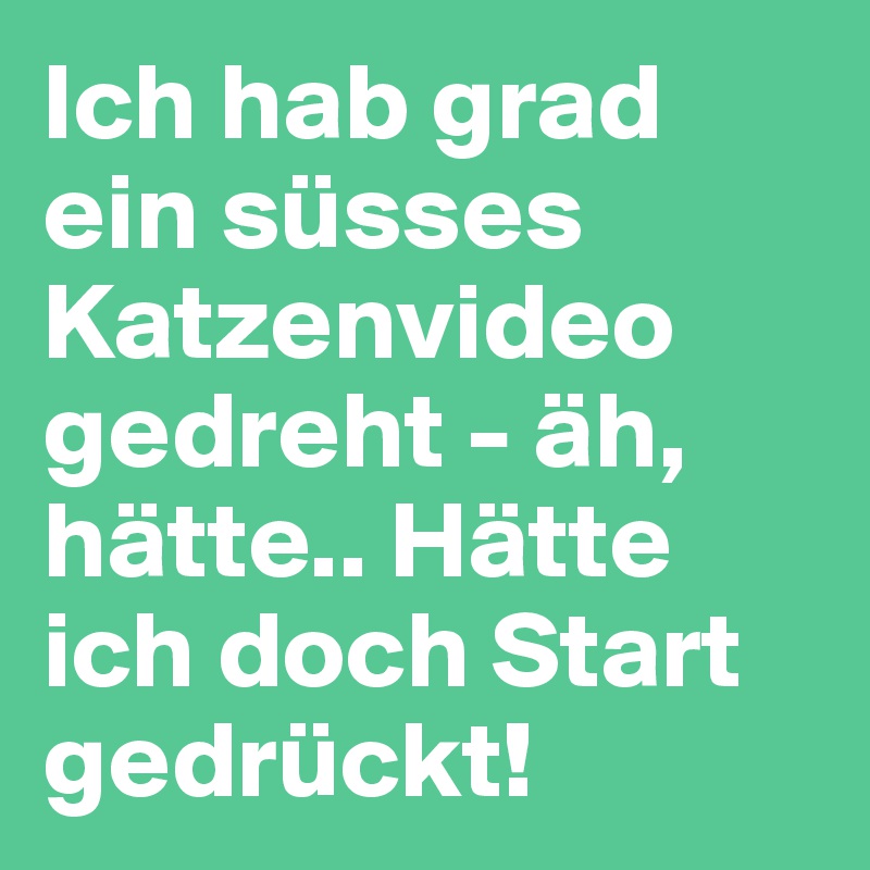 Ich hab grad ein süsses Katzenvideo gedreht - äh, hätte.. Hätte ich doch Start gedrückt!