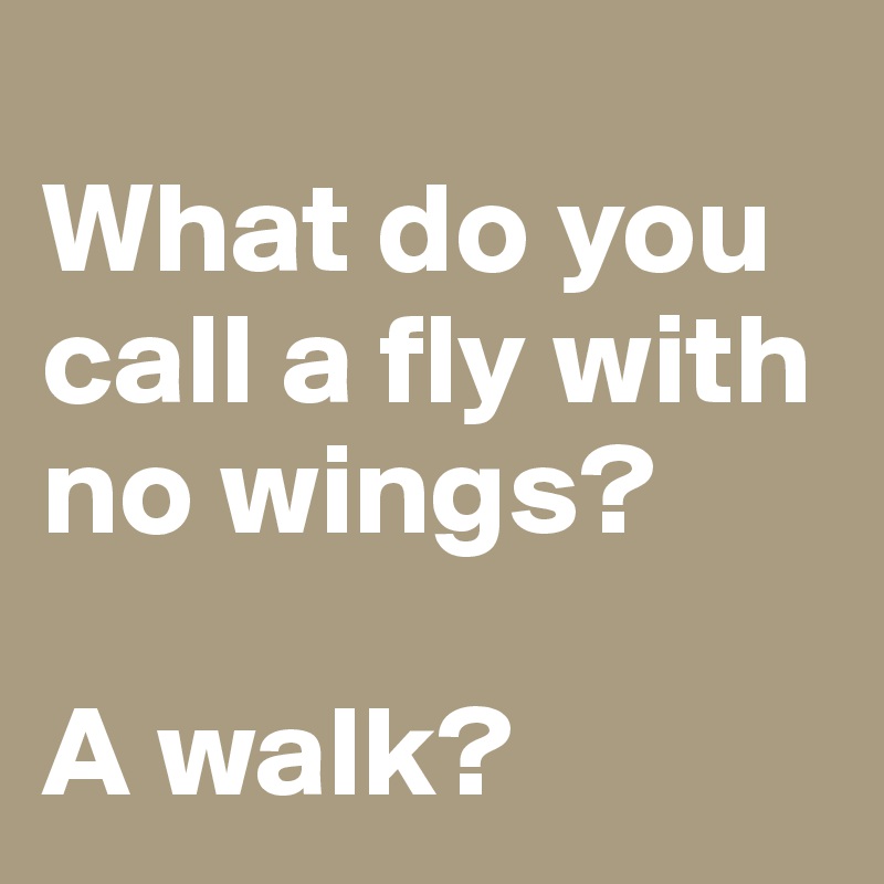 
What do you call a fly with no wings? 

A walk?
