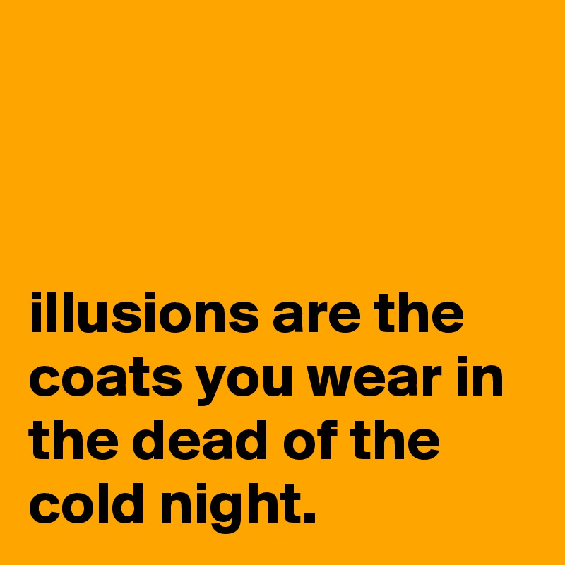 



illusions are the coats you wear in the dead of the cold night.