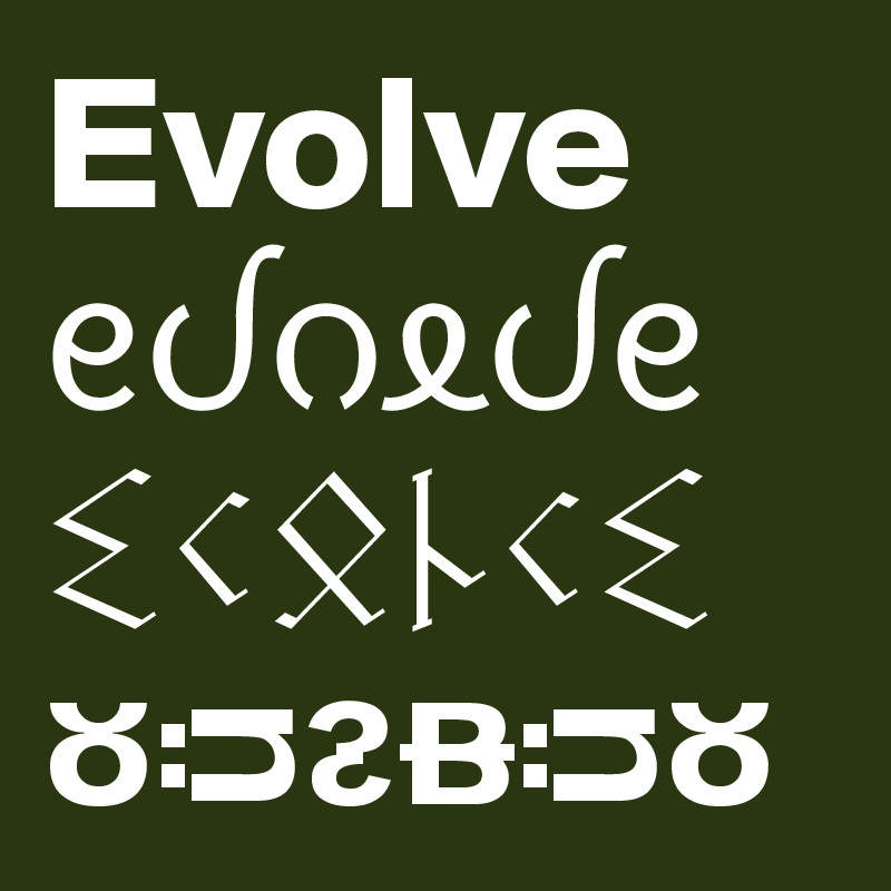 Evolve      
??????
??????
??????