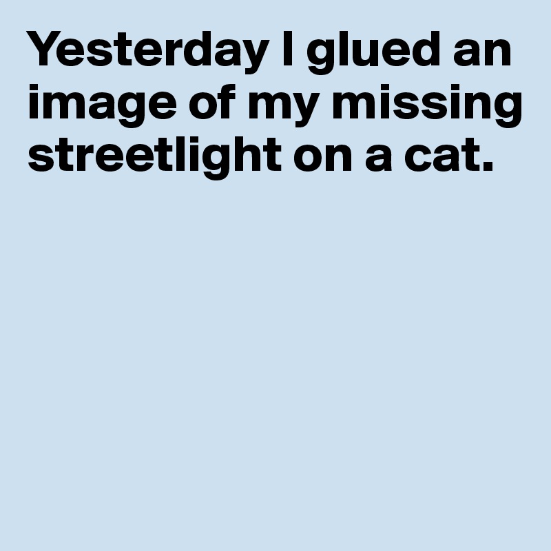Yesterday I glued an image of my missing streetlight on a cat. 





