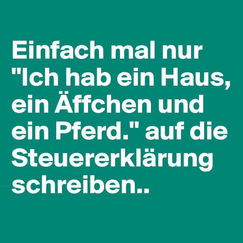 
Einfach mal nur "Ich hab ein Haus, ein Äffchen und ein Pferd." auf die Steuererklärung schreiben..
