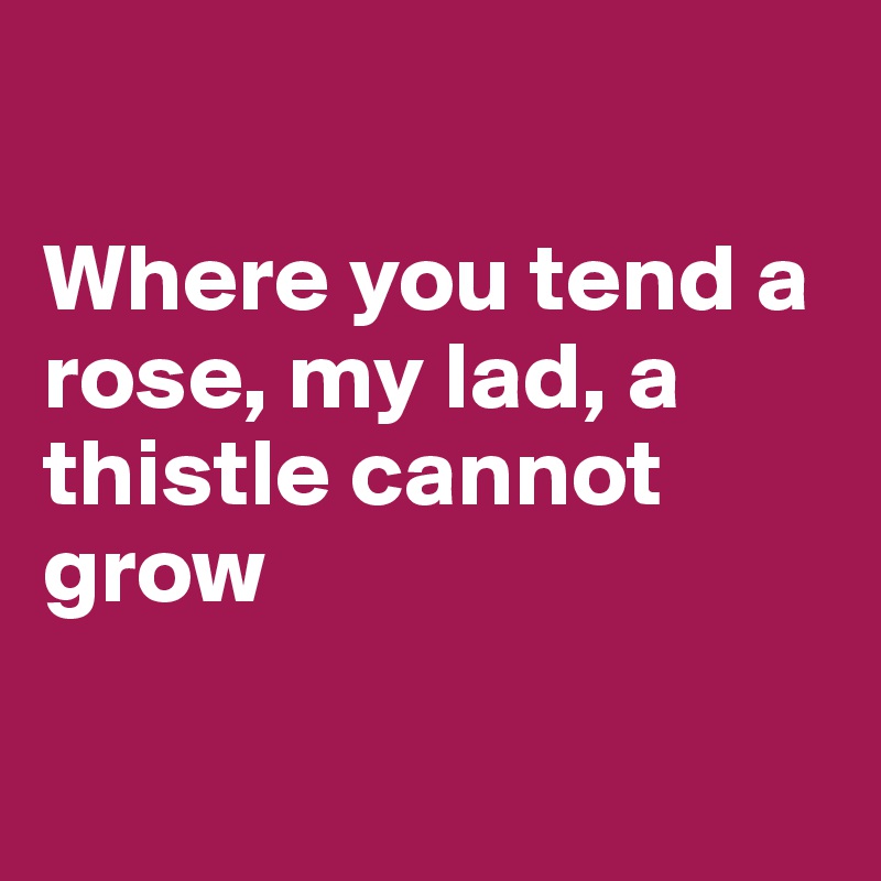 

Where you tend a rose, my lad, a thistle cannot grow

