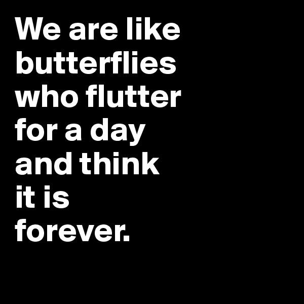 We are like butterflies 
who flutter 
for a day 
and think 
it is 
forever.
