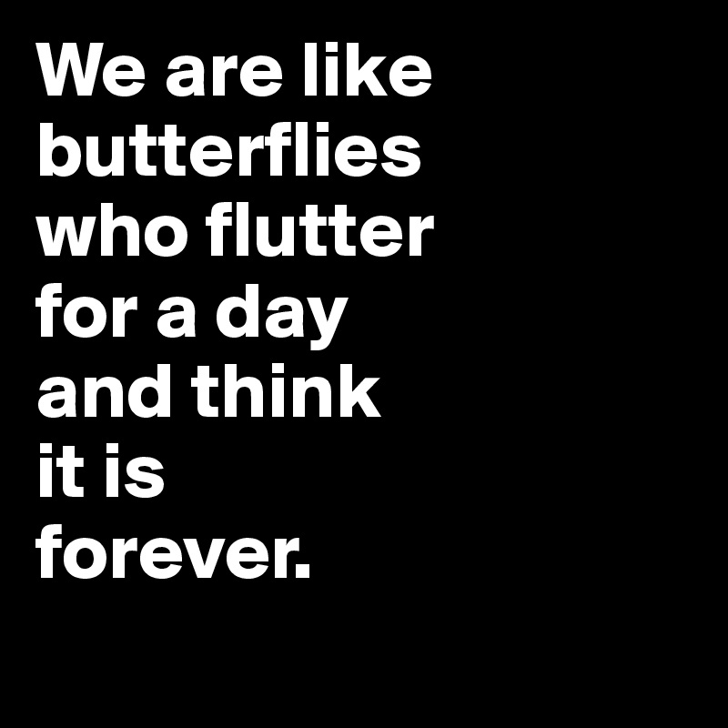 We are like butterflies 
who flutter 
for a day 
and think 
it is 
forever.
