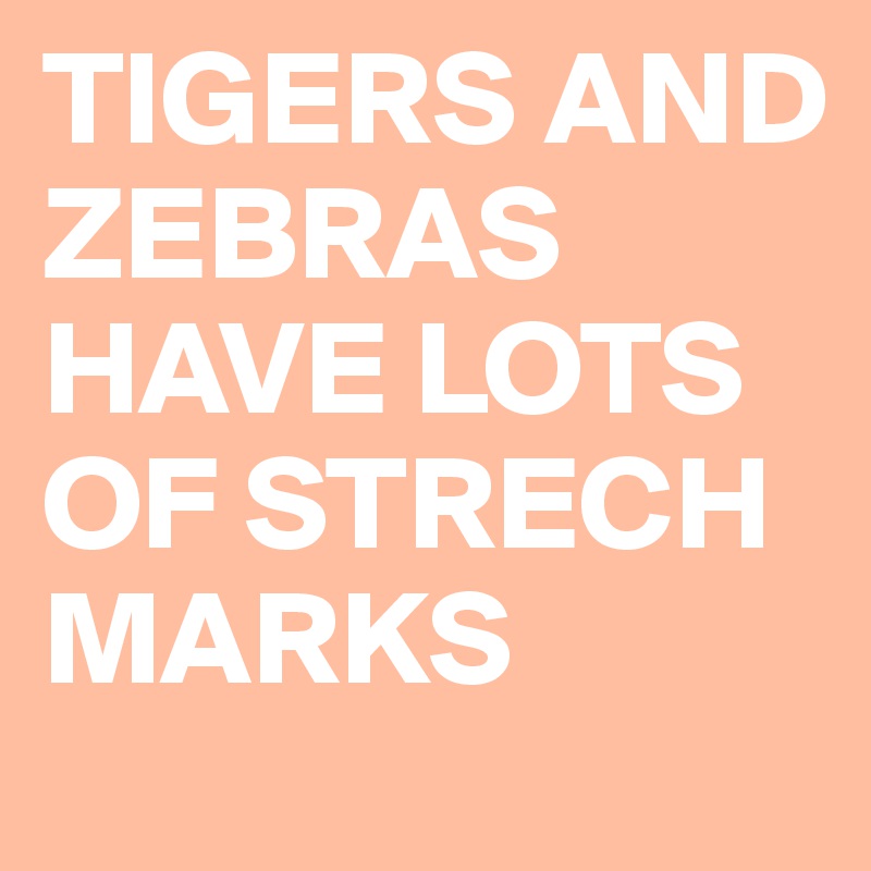 TIGERS AND ZEBRAS HAVE LOTS OF STRECH MARKS  