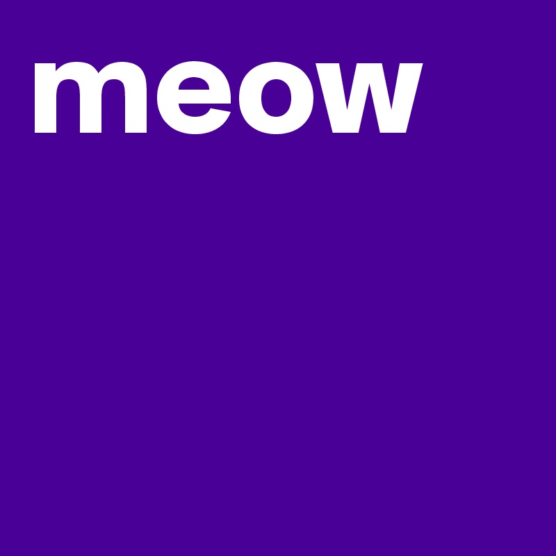 meow
