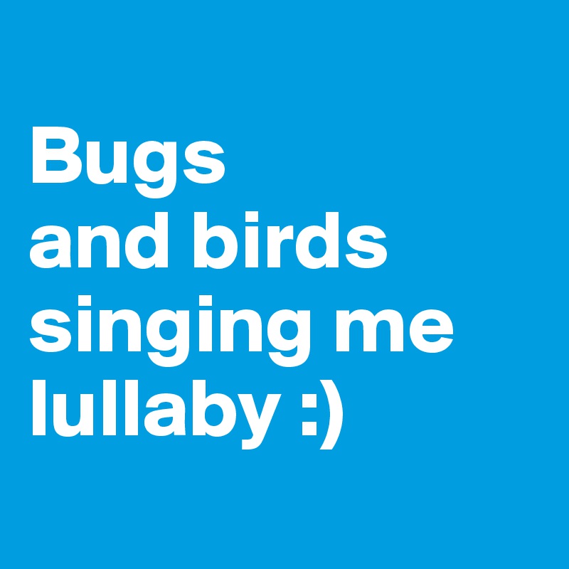 
Bugs
and birds singing me lullaby :)
