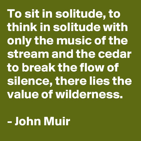 To sit in solitude, to think in solitude with only the music of the stream and the cedar to break the flow of silence, there lies the value of wilderness.

- John Muir