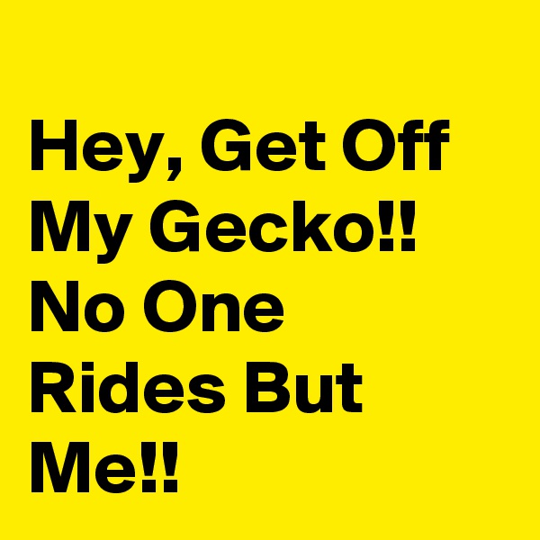 
Hey, Get Off My Gecko!! No One Rides But Me!!