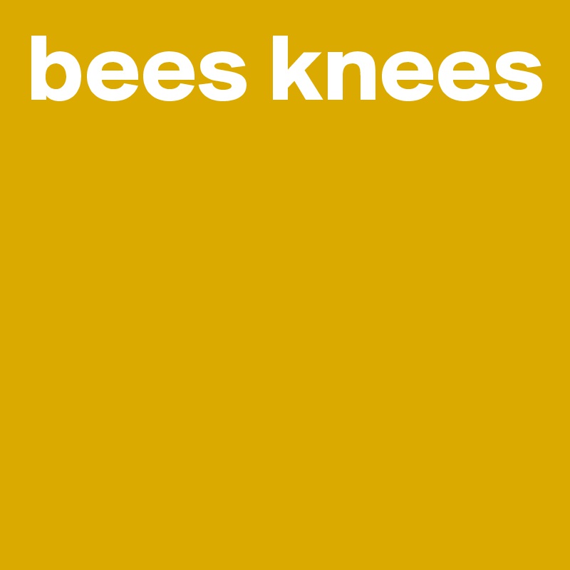bees knees



