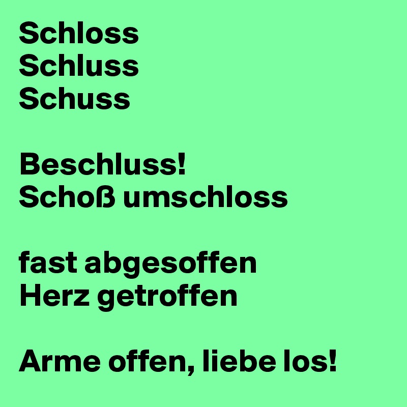 Schloss
Schluss
Schuss

Beschluss!
Schoß umschloss

fast abgesoffen
Herz getroffen

Arme offen, liebe los!