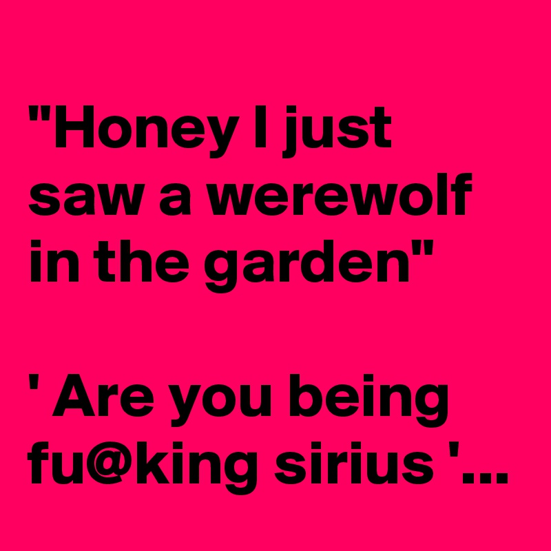 
"Honey I just saw a werewolf in the garden"

' Are you being fu@king sirius '...