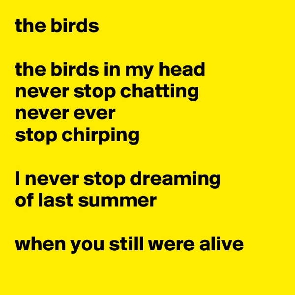 the birds

the birds in my head
never stop chatting
never ever
stop chirping

I never stop dreaming
of last summer

when you still were alive
