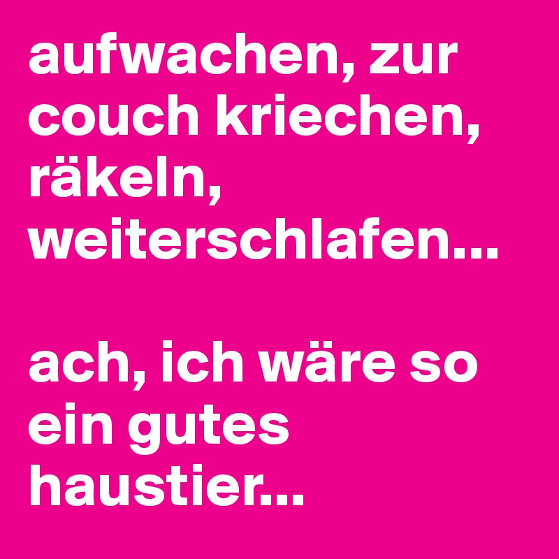 aufwachen, zur couch kriechen, räkeln, weiterschlafen...

ach, ich wäre so ein gutes haustier...