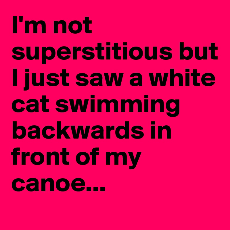 I'm not superstitious but I just saw a white cat swimming backwards in front of my canoe...