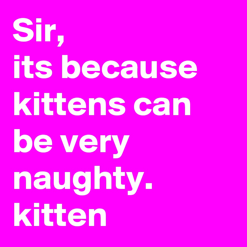 Sir,
its because kittens can be very naughty.
kitten