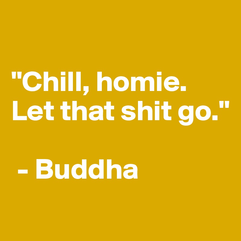 

"Chill, homie.
Let that shit go."

 - Buddha
