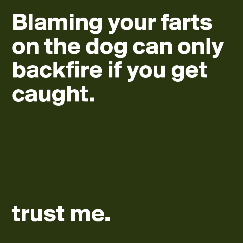 Blaming your farts on the dog can only backfire if you get caught.




trust me.