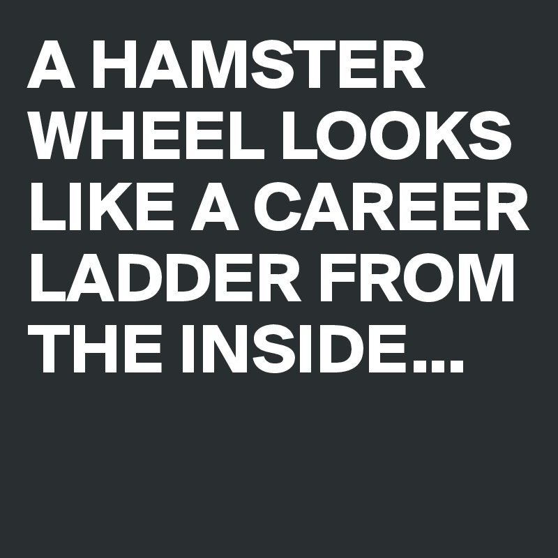 A HAMSTER WHEEL LOOKS LIKE A CAREER LADDER FROM THE INSIDE...
