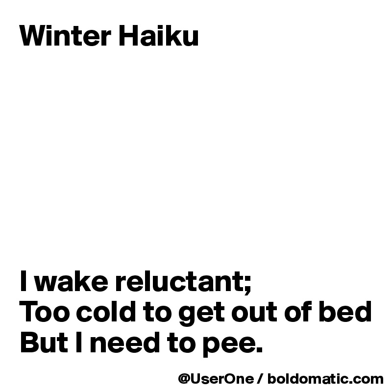 Winter Haiku







I wake reluctant;
Too cold to get out of bed
But I need to pee.