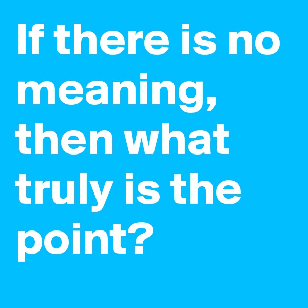 If there is no meaning, then what truly is the point?