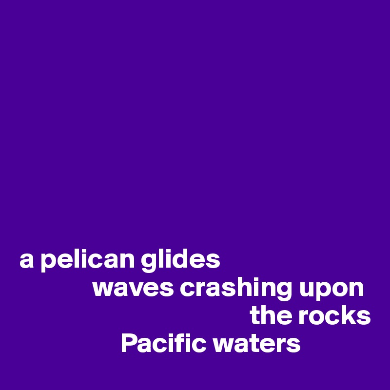 







a pelican glides 
             waves crashing upon       
                                         the rocks
                  Pacific waters