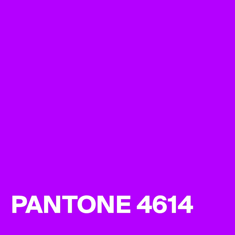 





 
PANTONE 4614