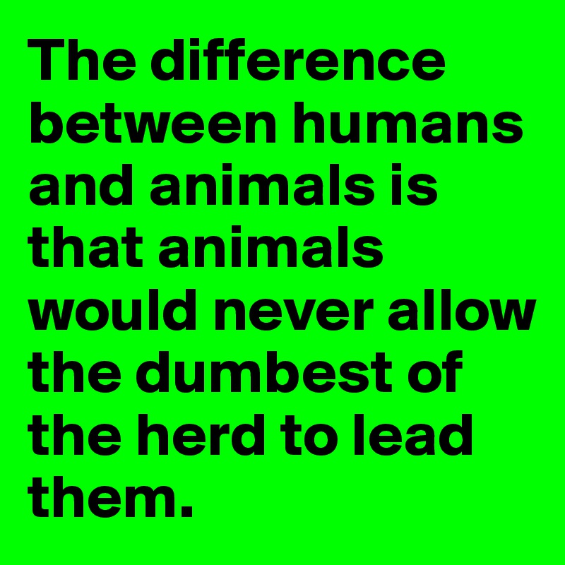 The difference between humans and animals is that animals would never allow the dumbest of the herd to lead them.