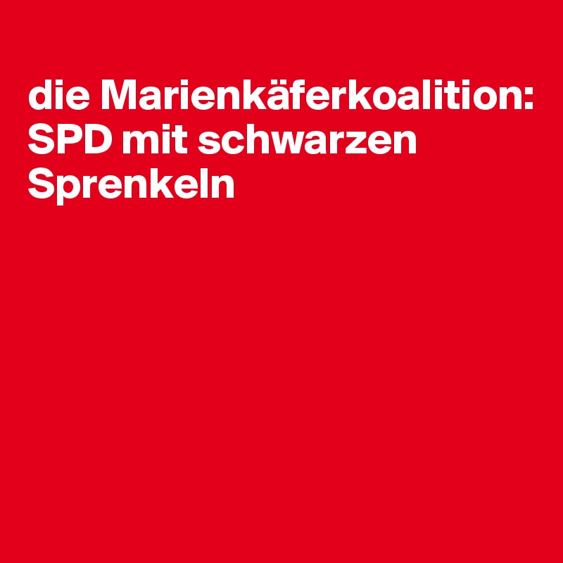 
die Marienkäferkoalition: SPD mit schwarzen Sprenkeln






