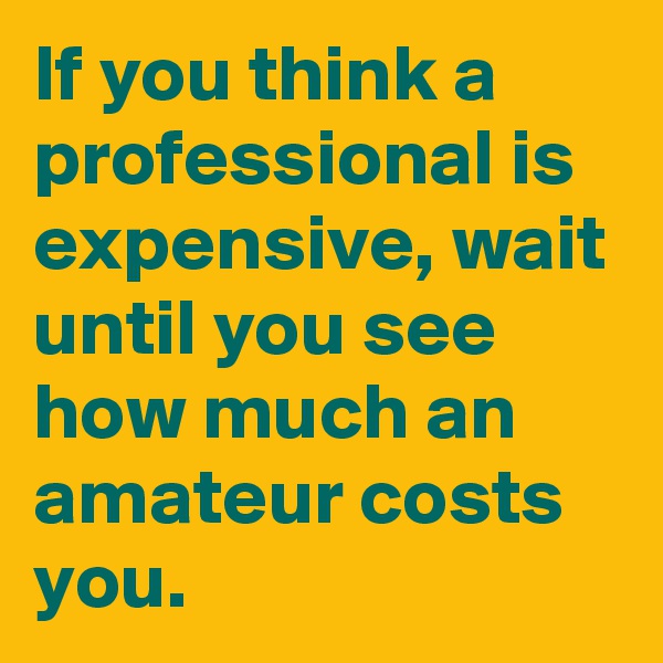 If you think a professional is expensive, wait until you see how much an amateur costs you.