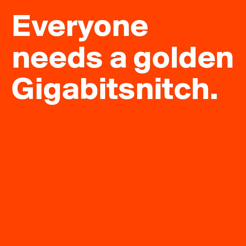 Everyone needs a golden Gigabitsnitch. 


