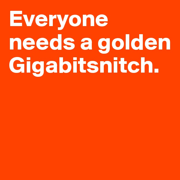 Everyone needs a golden Gigabitsnitch. 


